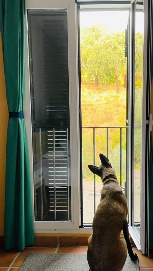 Casa Rural Una Ventana A La Montana Αραθένα Εξωτερικό φωτογραφία